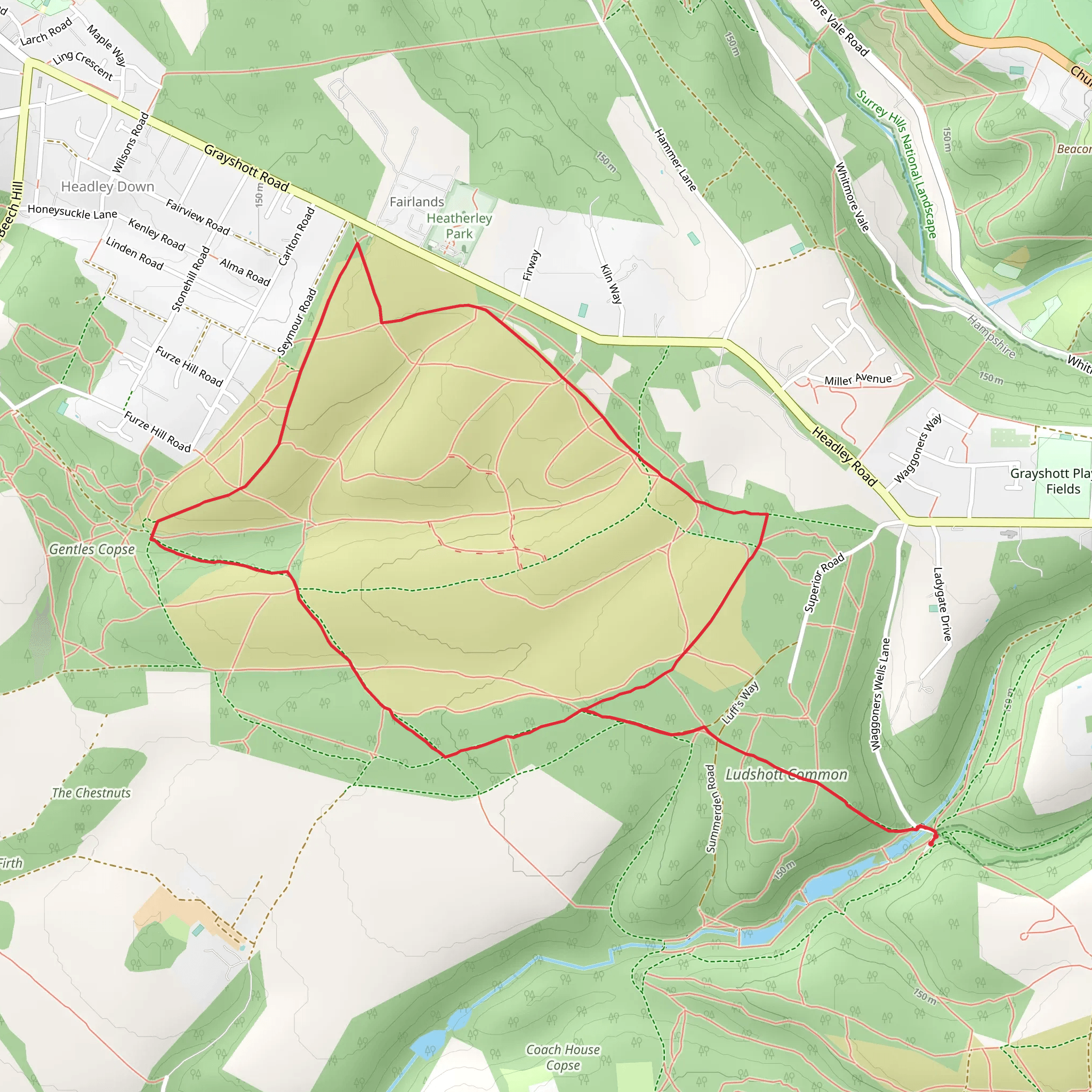 Ludshott Common Walk mobile static map