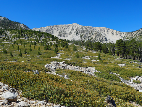 An image depicting the trail Momyer Creek to San Bernardino East Peak Trail and its surrounding area.