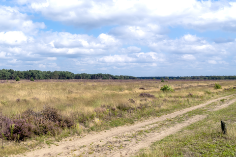 Garderen to Natuukamperterrein Drie via Beumelerberg and Konings Weg