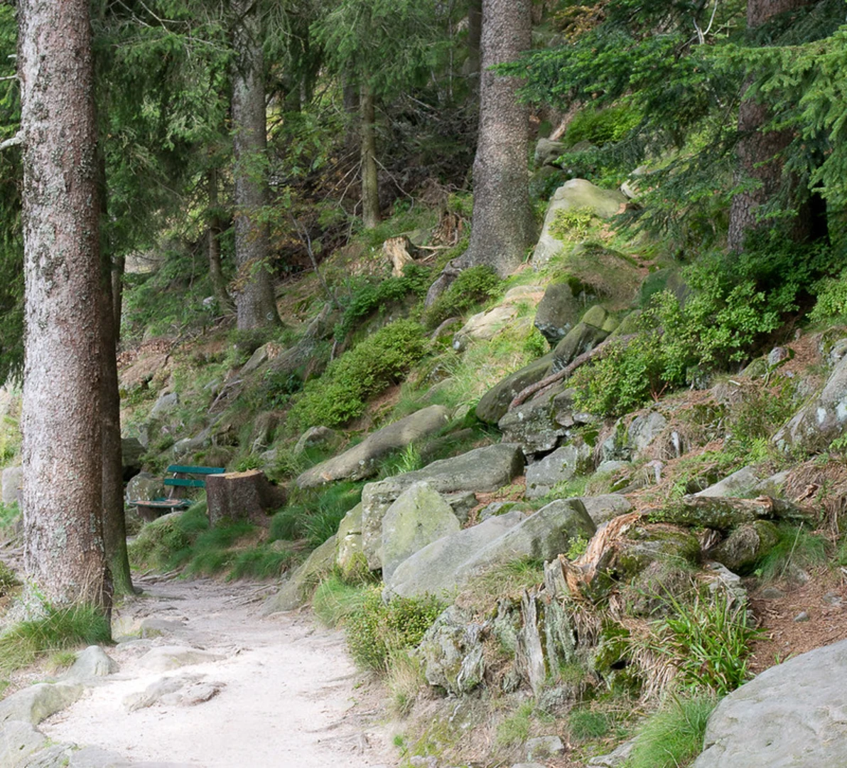 An image depicting the trail Bergmatt and Grillplatz Hohfelsen via Ottenhoefen Mummelsee and its surrounding area.