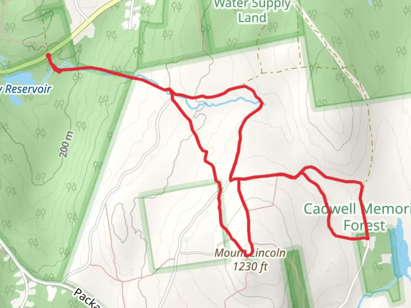 An image depicting the trail Mount Lincon from Amherst Road and its surrounding area.