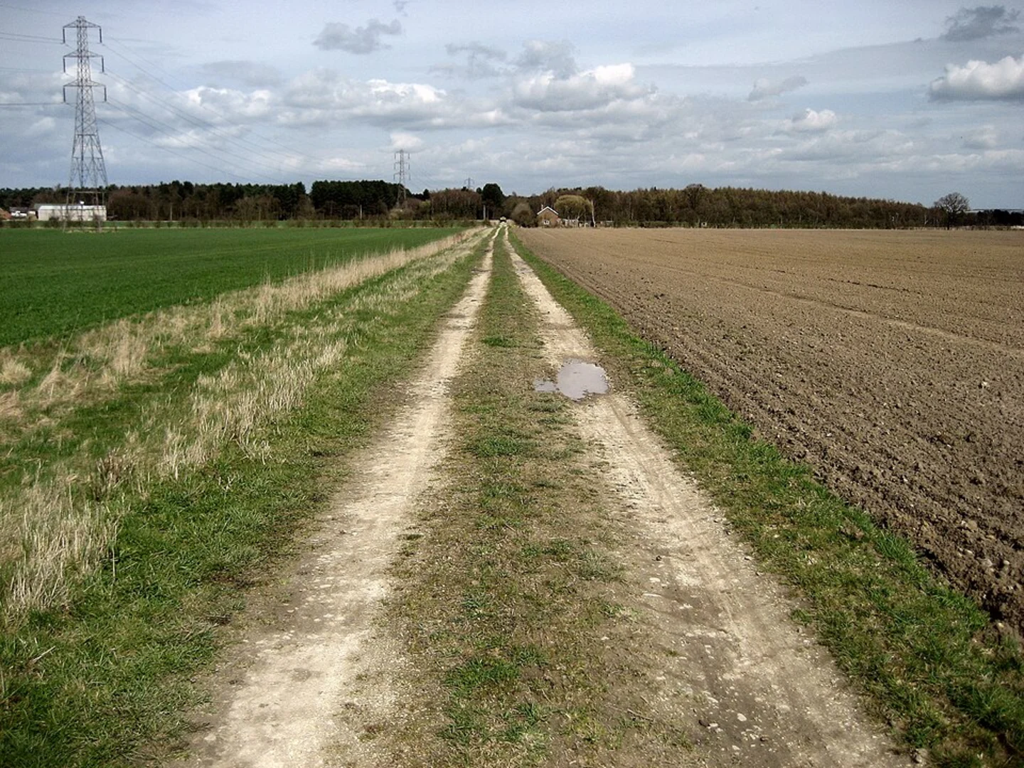 An image depicting the trail Pickering to Kirkbymoorside Walk and its surrounding area.