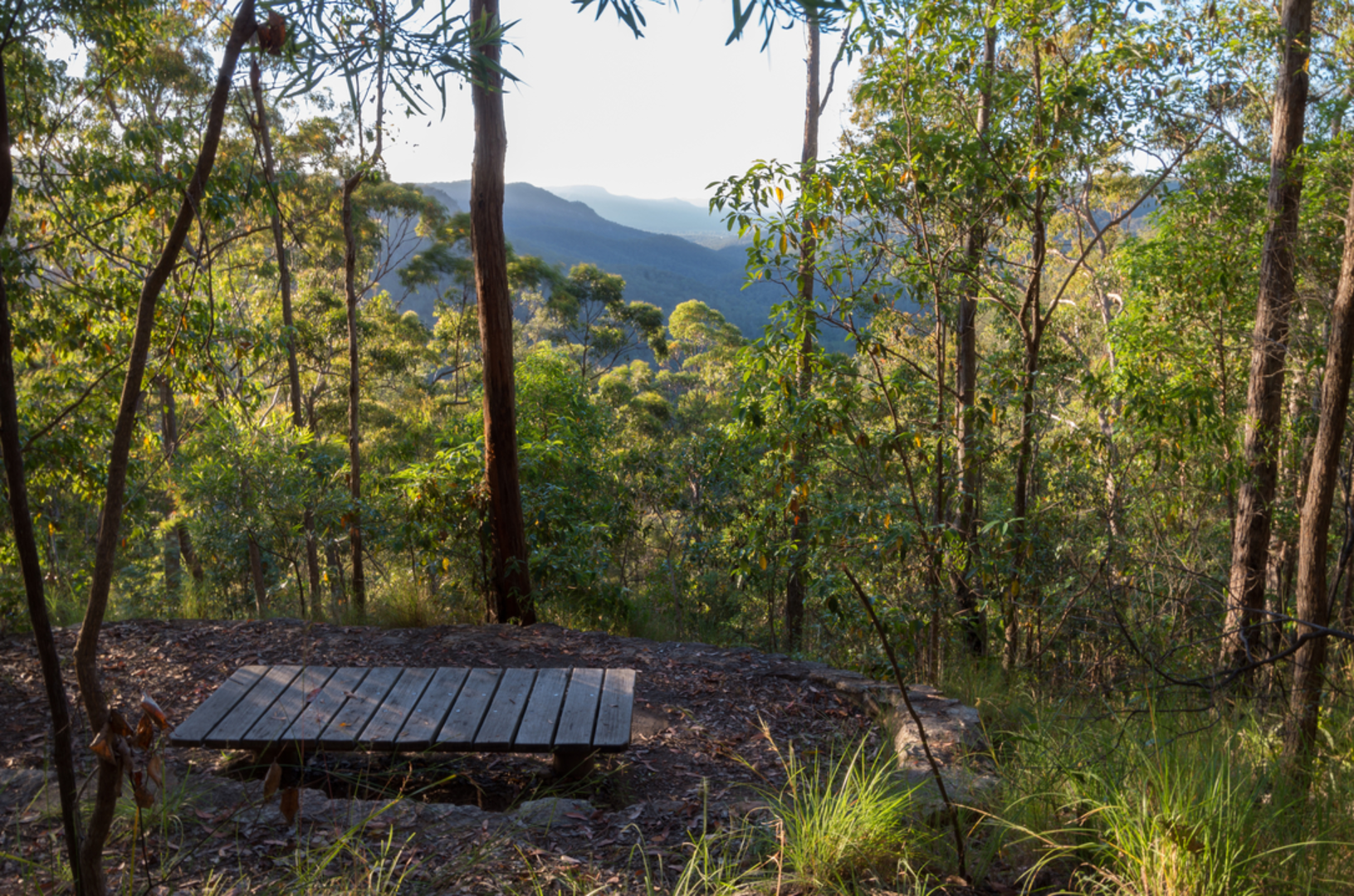 An image depicting the trail Mapleton to Ubajee Viewpoint Walk and its surrounding area.