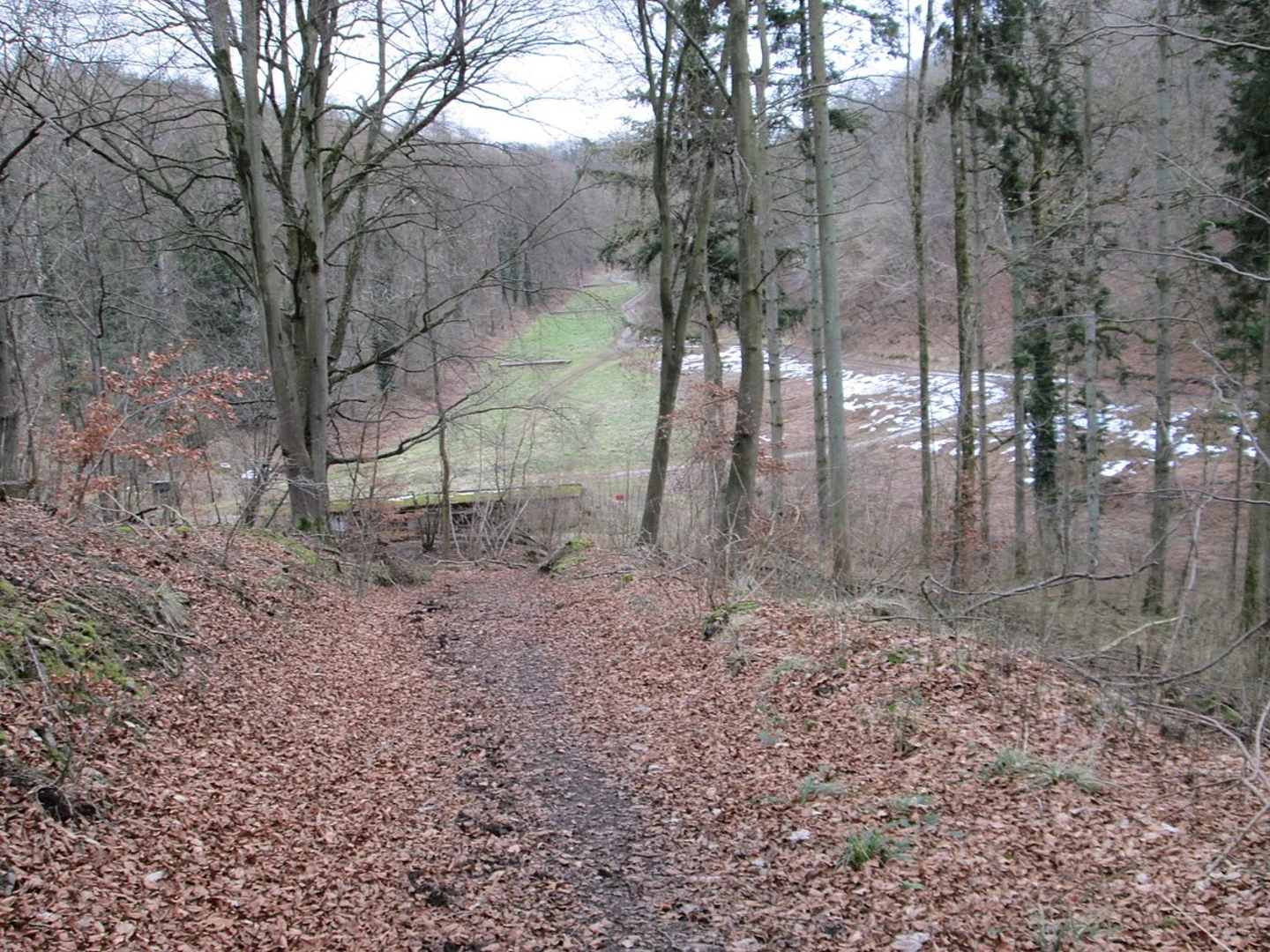 An image depicting the trail Low Dalby to Pickering Walk and its surrounding area.