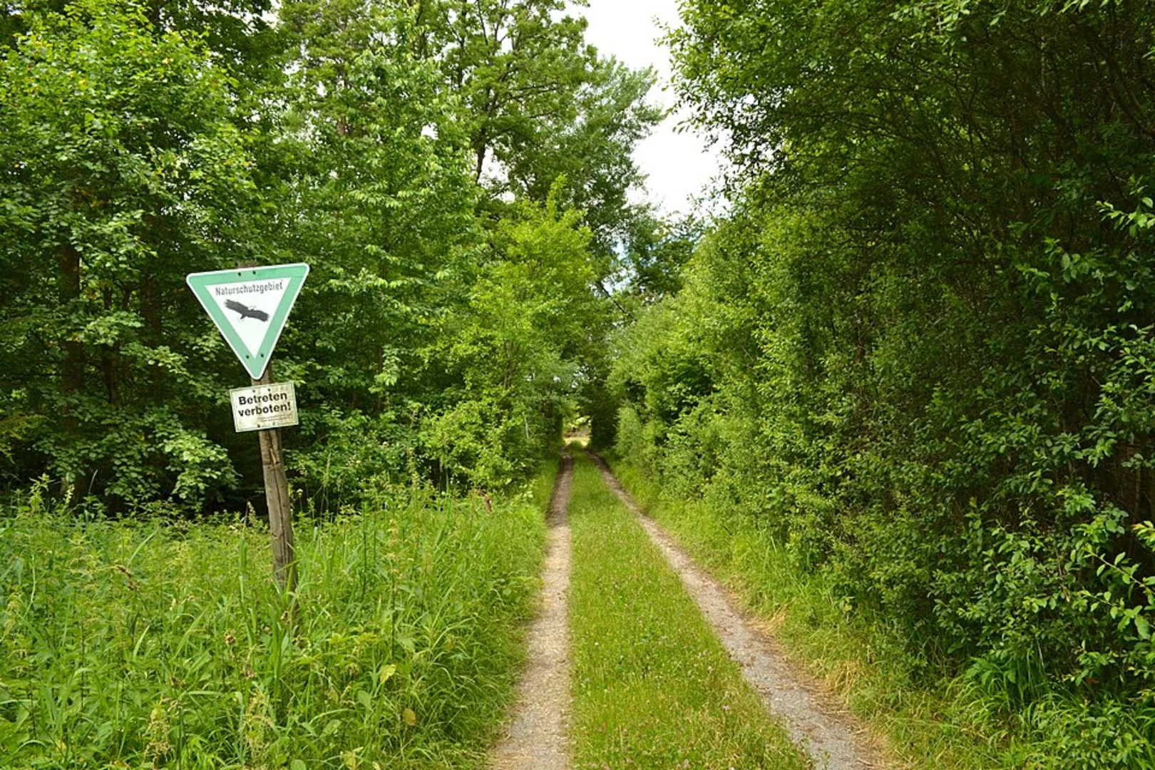 An image depicting the trail Seehaus See via Mittelweg and its surrounding area.