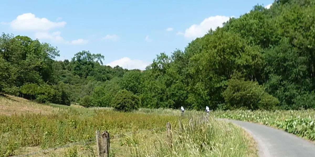 Grindon and the Manifold Way from Waterhouses