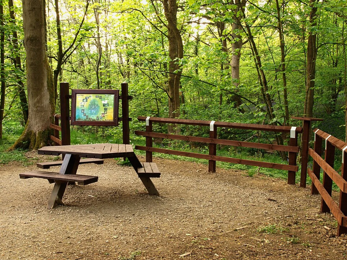 An image depicting the trail Springs Wood Loop and its surrounding area.