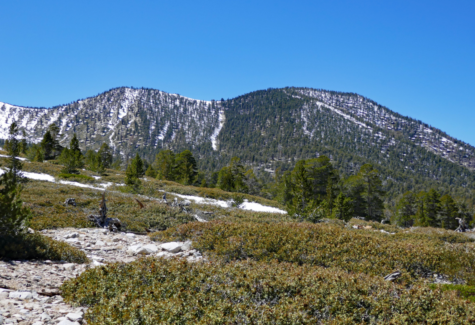 An image depicting the trail Falls Creek Trail and its surrounding area.