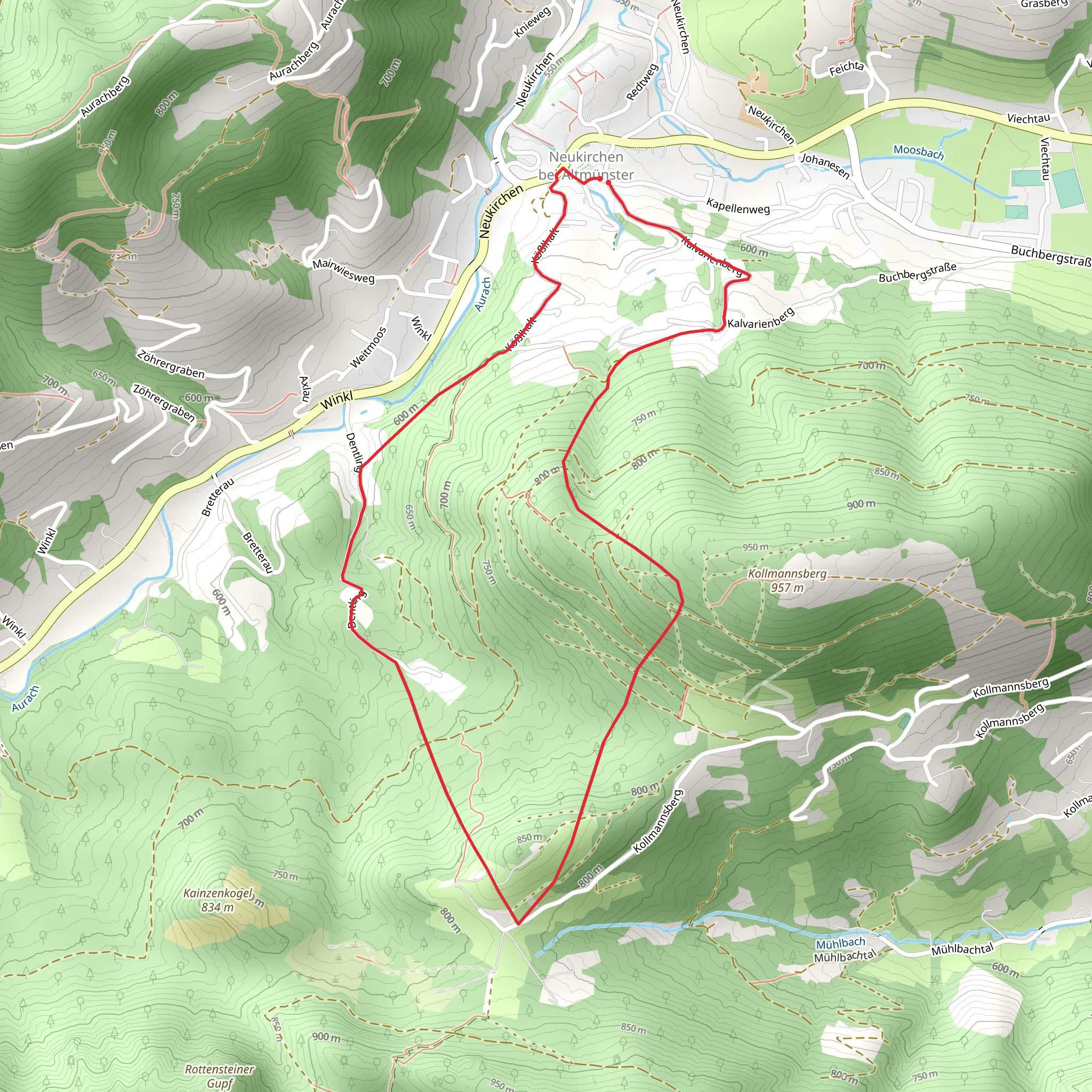 Neukirchen - Windlegern - Neukirchen Loop mobile static map