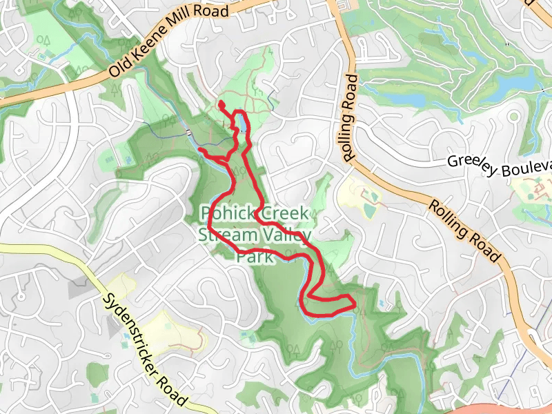 Blue Trail Rooty and Yellow Loop Trail