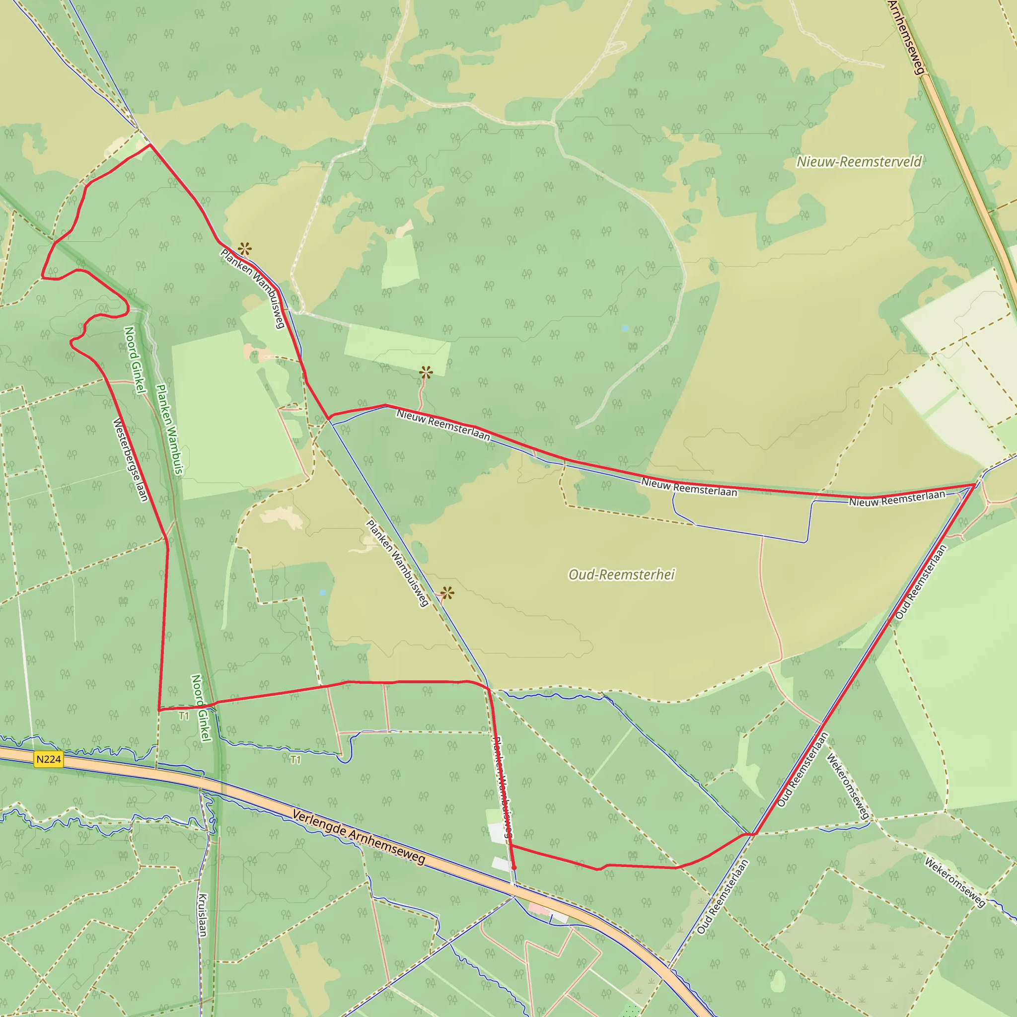 Nieuw Reemst and Oud Reemsterhei Loop mobile static map