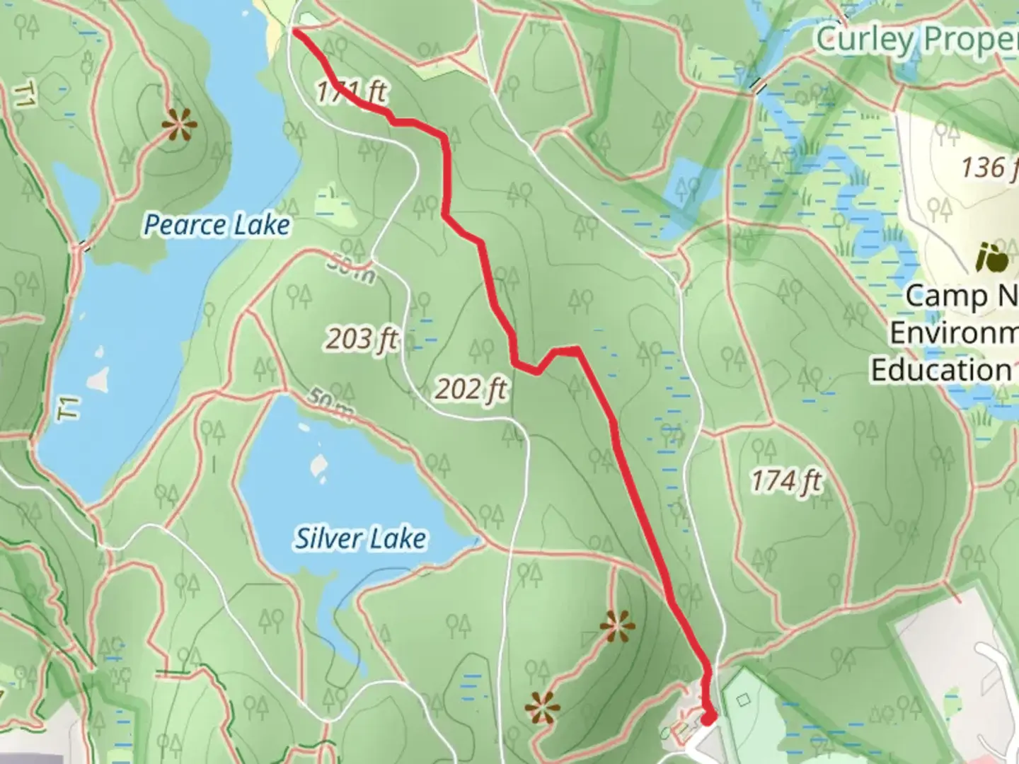 An image depicting the trail Pearce Lake Pine Tops Road and its surrounding area.