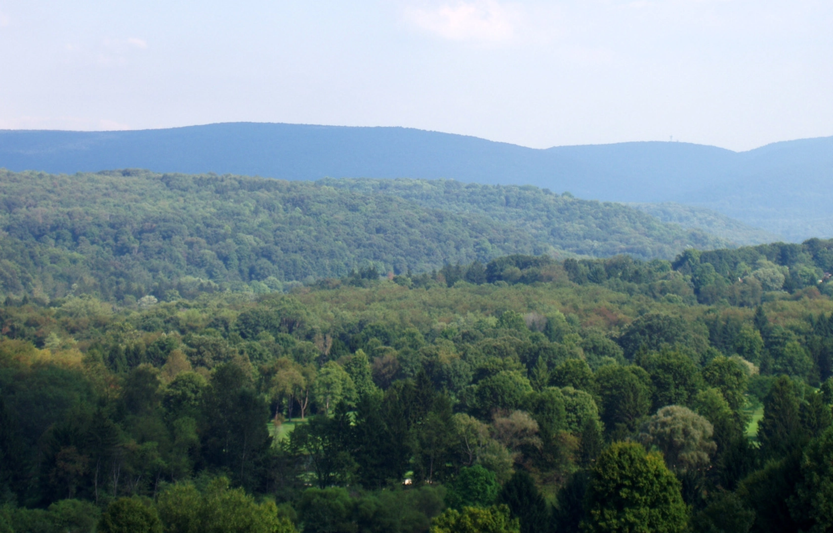 An image depicting the trail Laurel Ridge and its surrounding area.