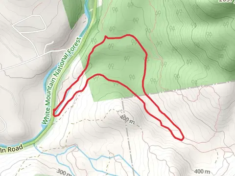 Pine Flat XC and Smarts Brook Loop Trail