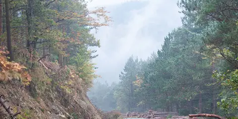 An image depicting the trail Powerscourt Waterfall and its surrounding area.