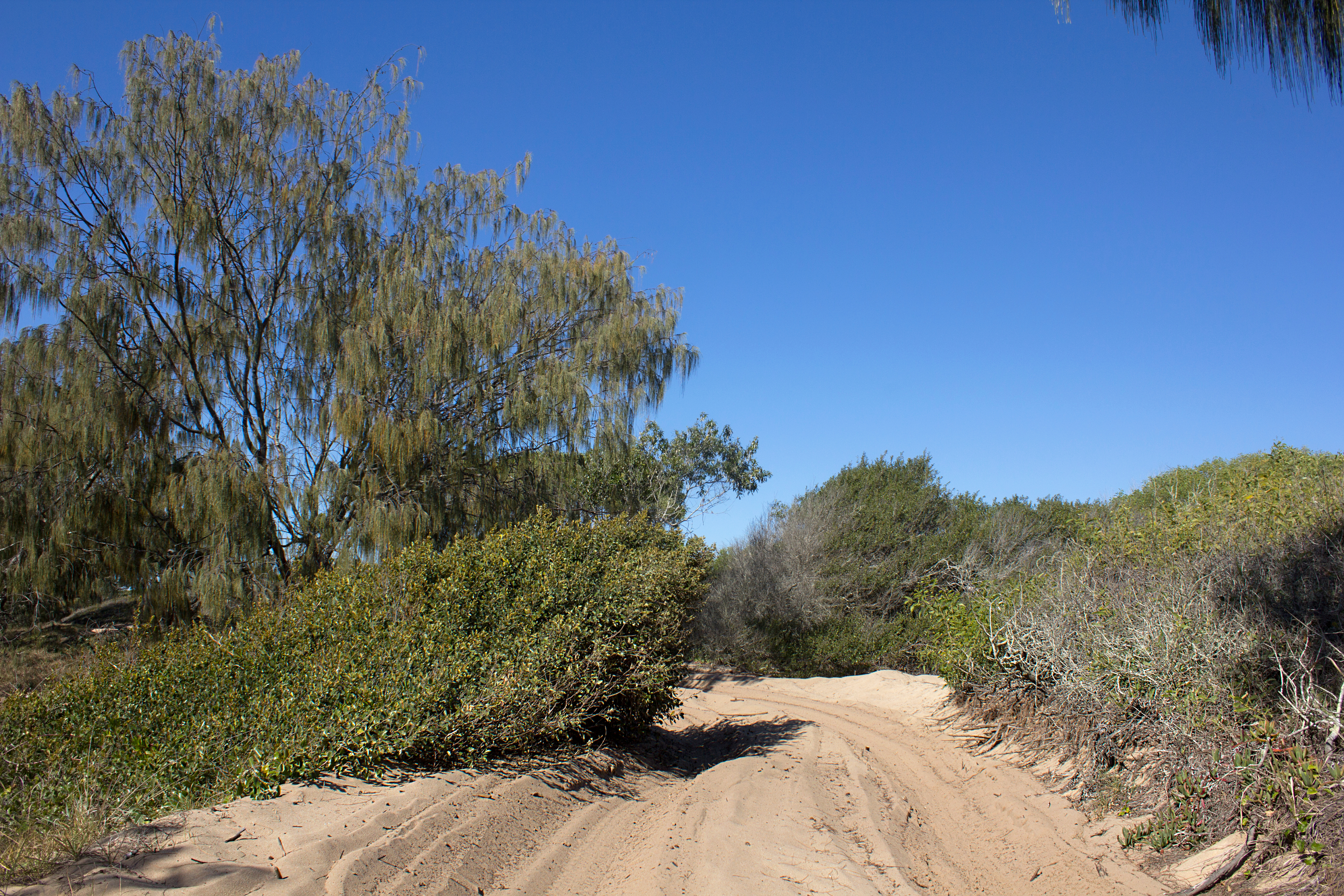 An image depicting the trail Burrum Coast National Park and its surrounding area.