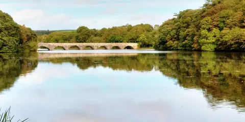 An image depicting the trail Bosherston Lily Ponds - Broad Haven and St Govan's Chapel and its surrounding area.