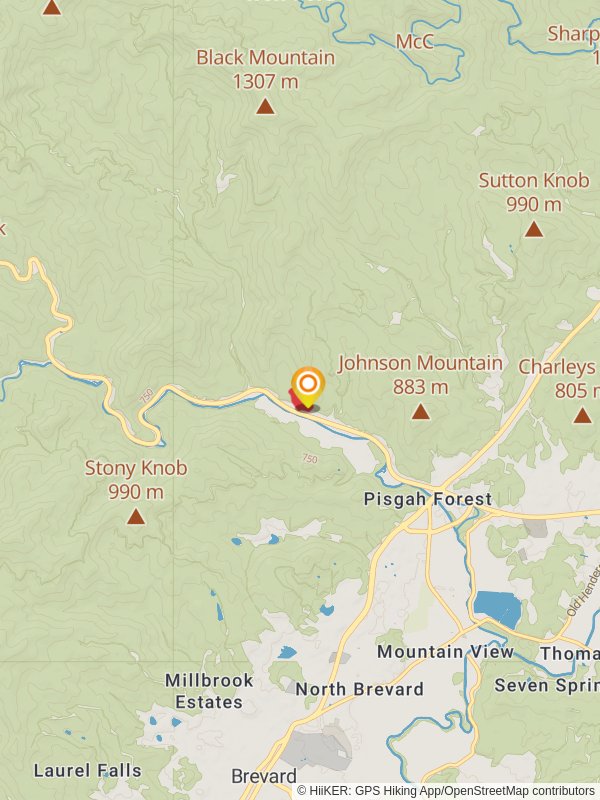 Davidson River Campground Road Loop