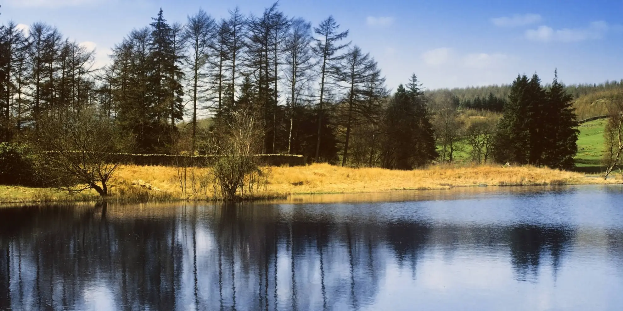 An image depicting the trail Windermere Walk and its surrounding area.