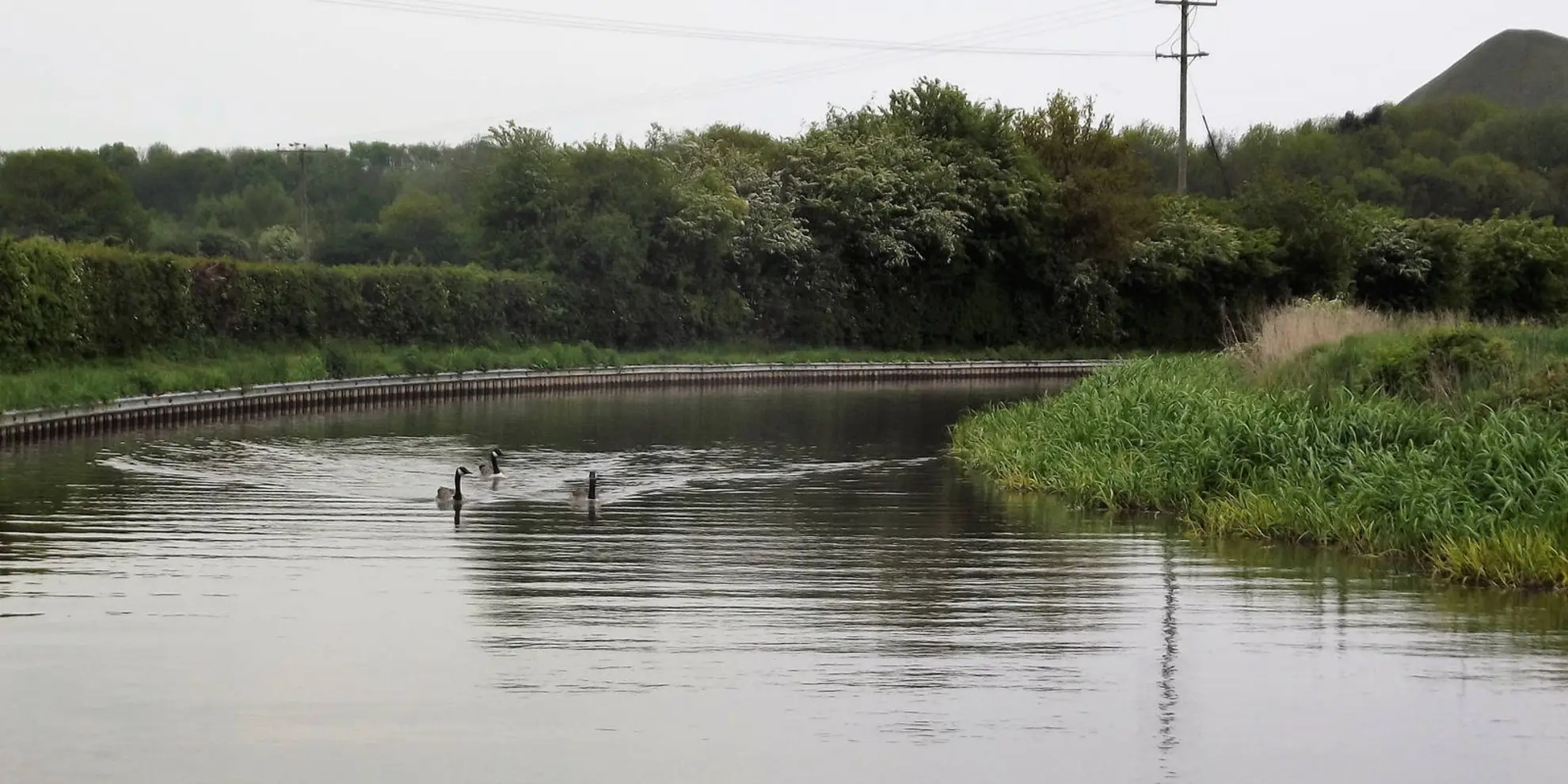 An image depicting the trail Coventry Canal Walk and its surrounding area.
