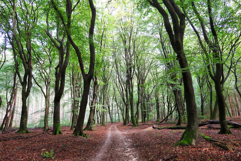 Kruishaarsche Heide, Huinerveld and Boeschoten Loop