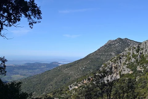 An image depicting the trail The Pinsapar (Sierra de Grazalema NP) PR A 347 and its surrounding area.