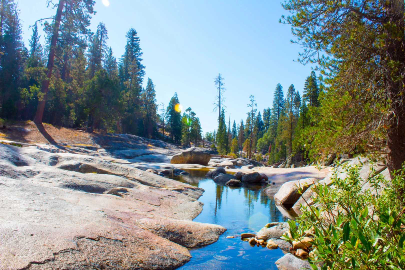 An image depicting the trail Swamp Lake Trail and its surrounding area.