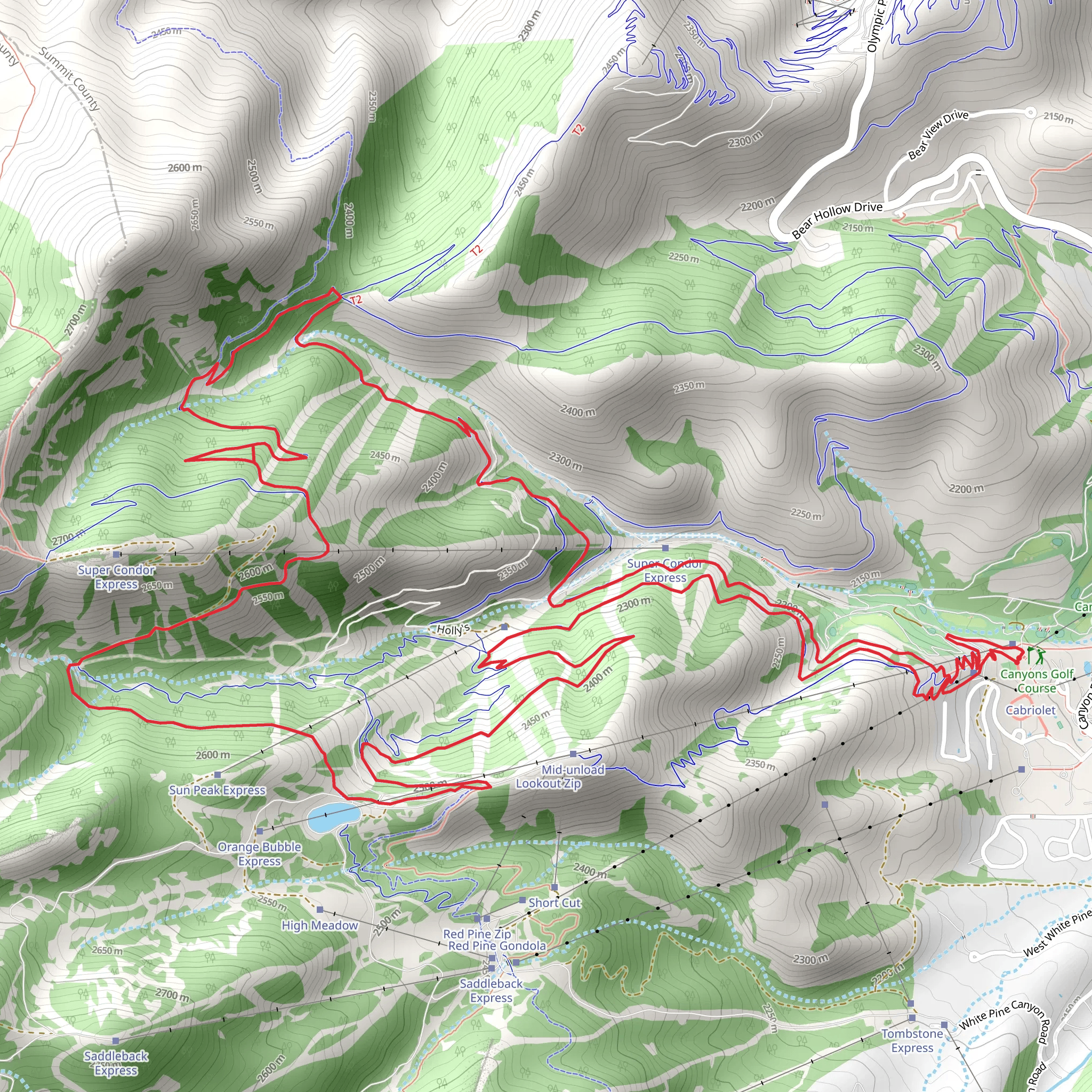 Big Mountain Trail and Holly's Loop mobile static map