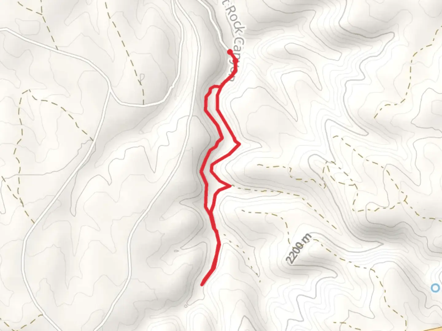 An image depicting the trail Forest Walk from Pivot Rock and its surrounding area.