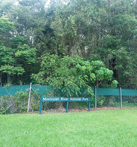 An image depicting the trail Aemula Trail and its surrounding area.