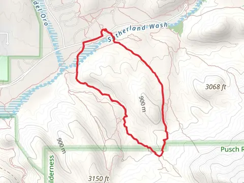 Sutherland Wash - Alamo Canyon Loop