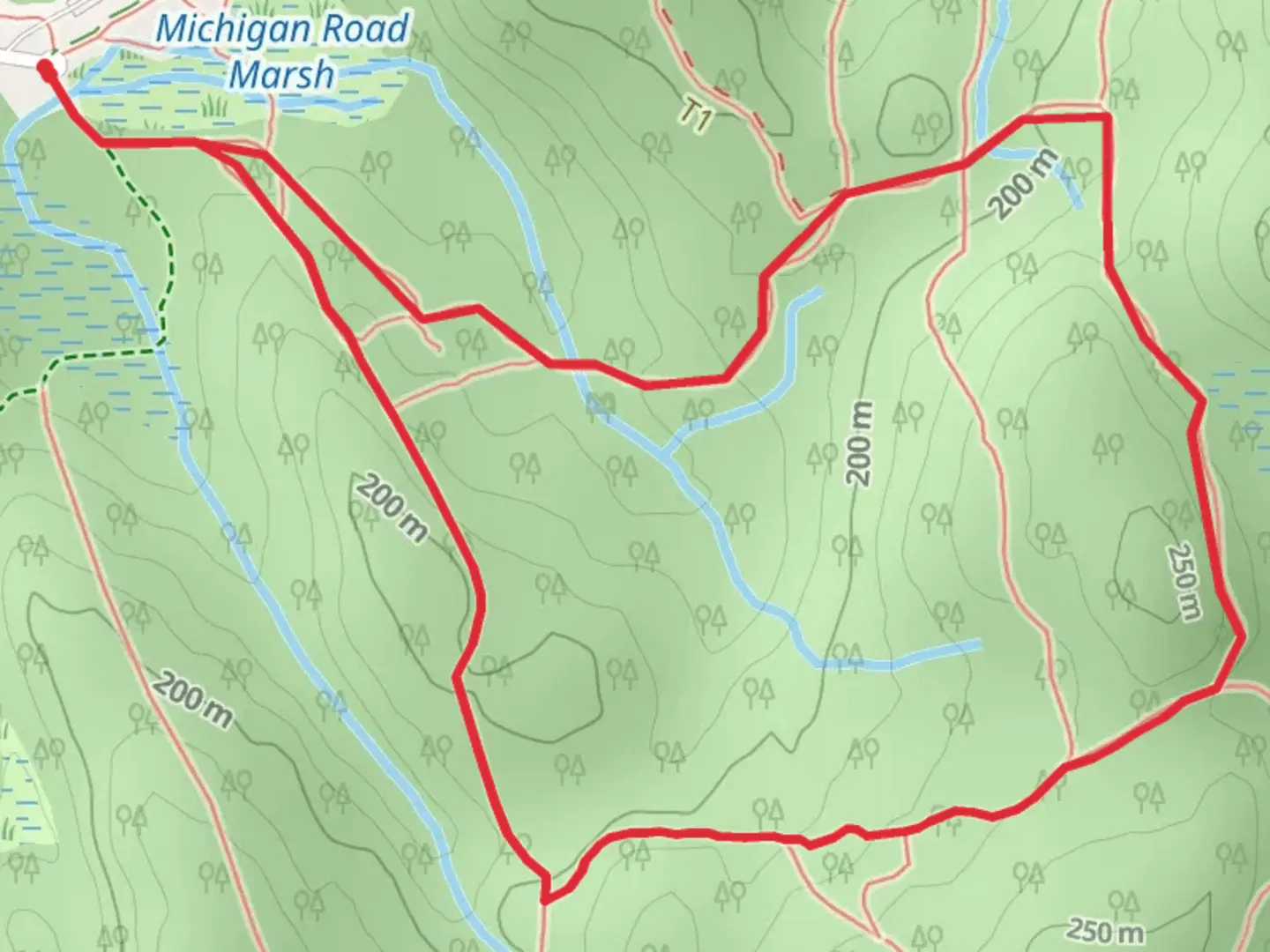 An image depicting the trail CCC Camp Connector Trail Loop and its surrounding area.