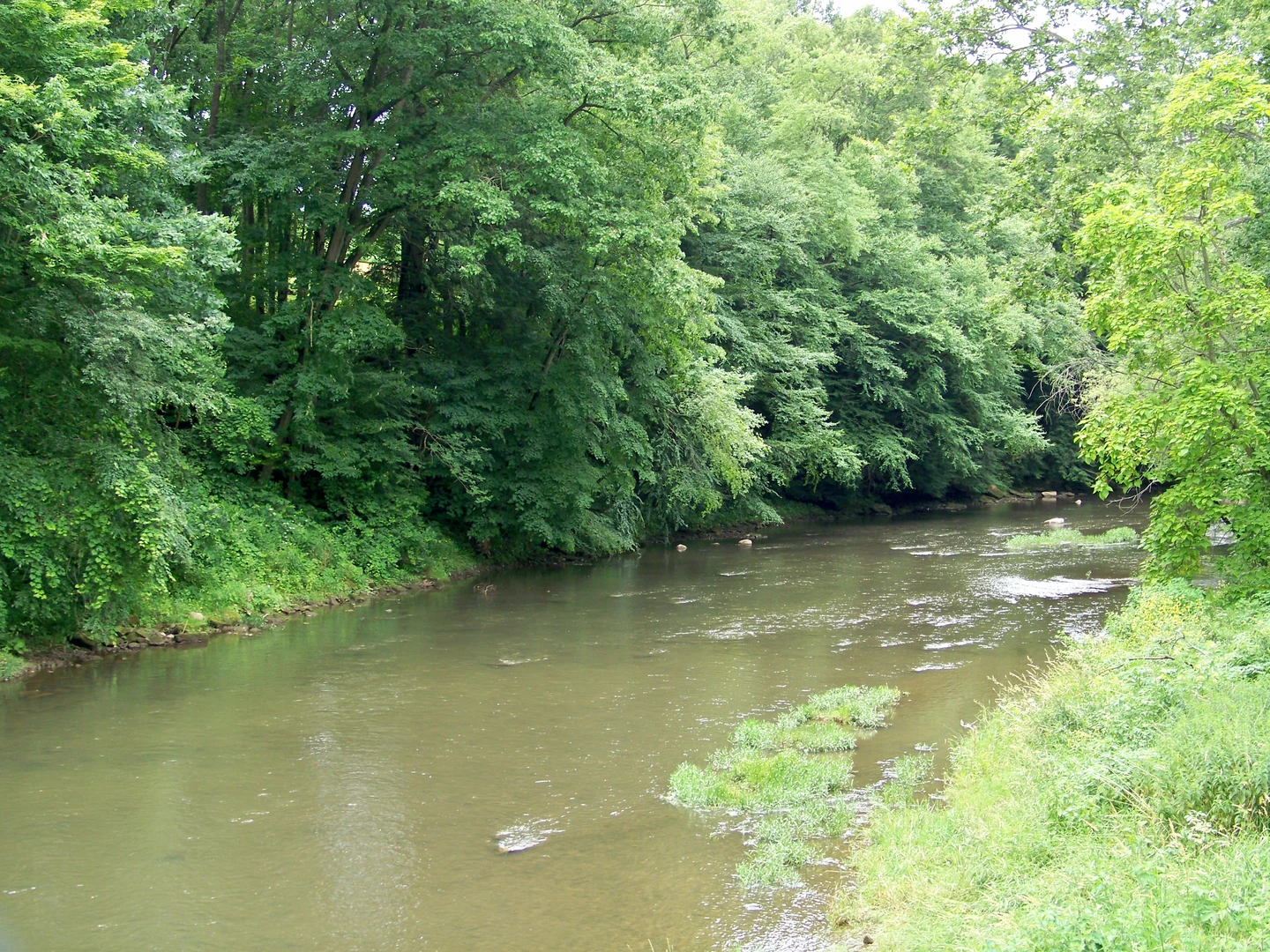An image depicting the trail Neshannock Creek Trail from Volant and its surrounding area.