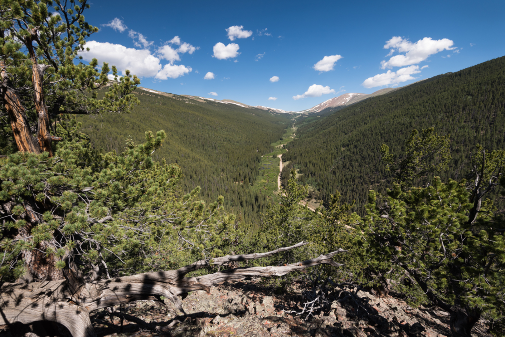 An image depicting the trail Ridgeview Trail and its surrounding area.