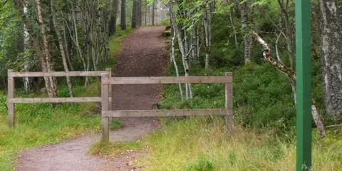 An image depicting the trail Glencharrnoch Walk and its surrounding area.