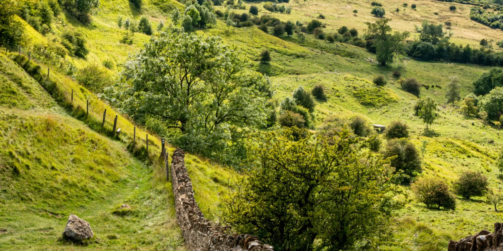 An image depicting the trail Bredon Hill circular from Elmley Castle and its surrounding area.