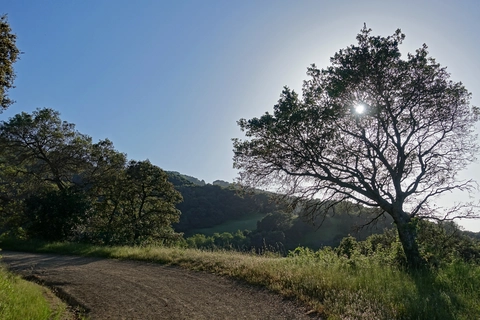 New Almaden and Randol Loop Trail