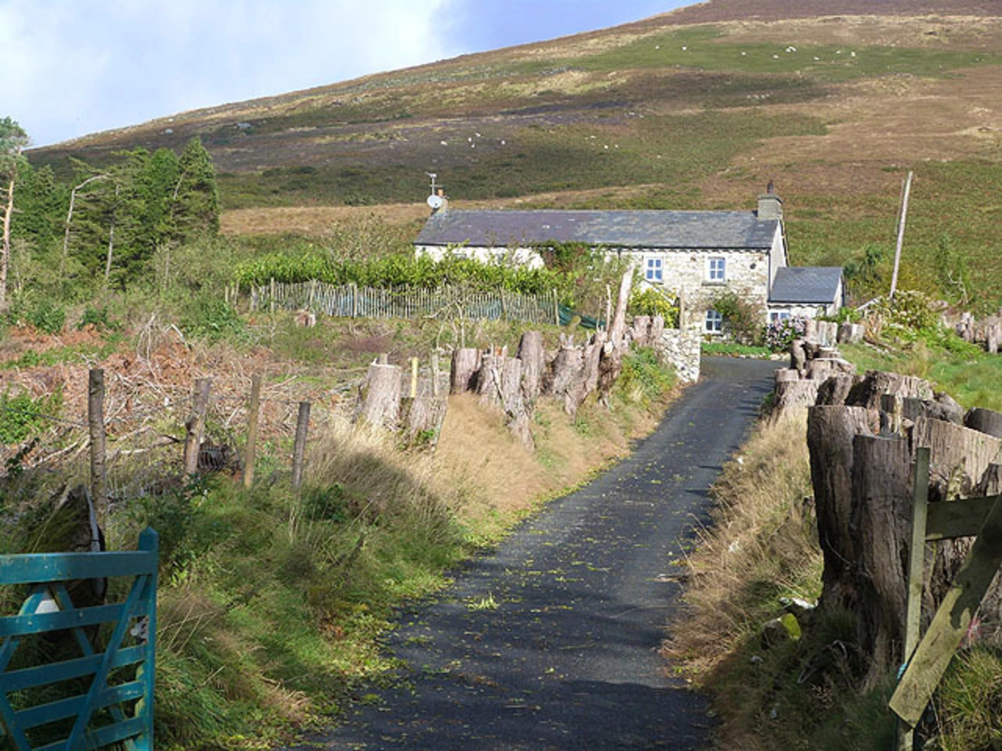 An image depicting the trail Croaghanmoira and Carrickashane Mountain Loop and its surrounding area.