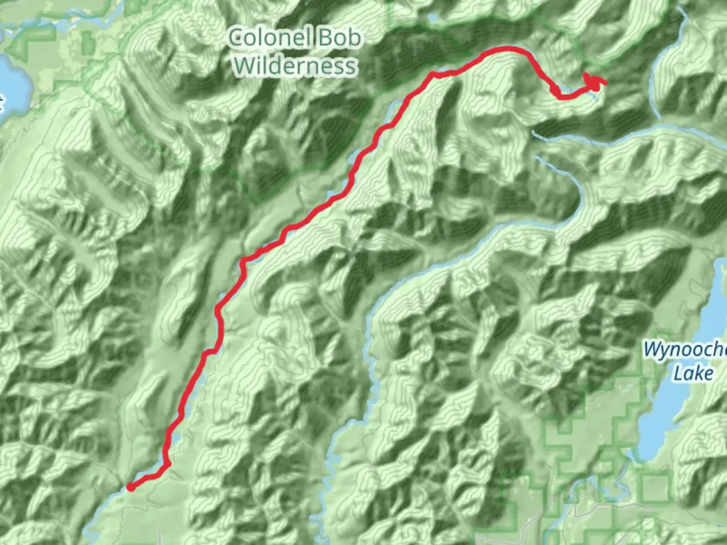 An image depicting the trail West Fork Humptulips Trail and its surrounding area.