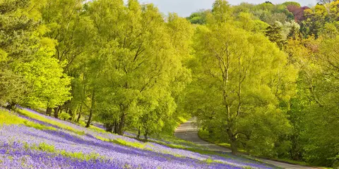 An image depicting the trail Malvern Link and its surrounding area.