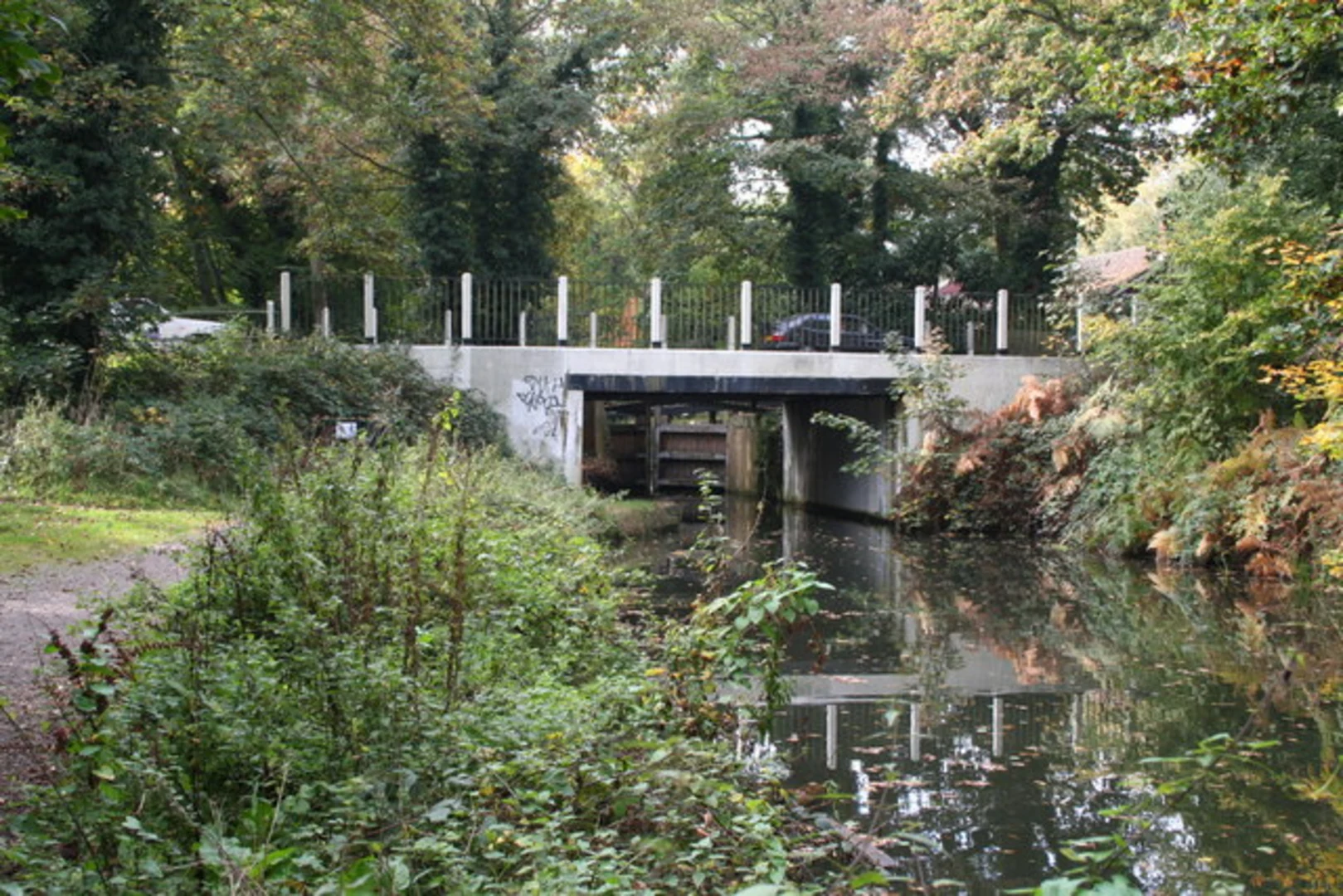 An image depicting the trail Basingstoke Canal Walk from Brookwood and its surrounding area.