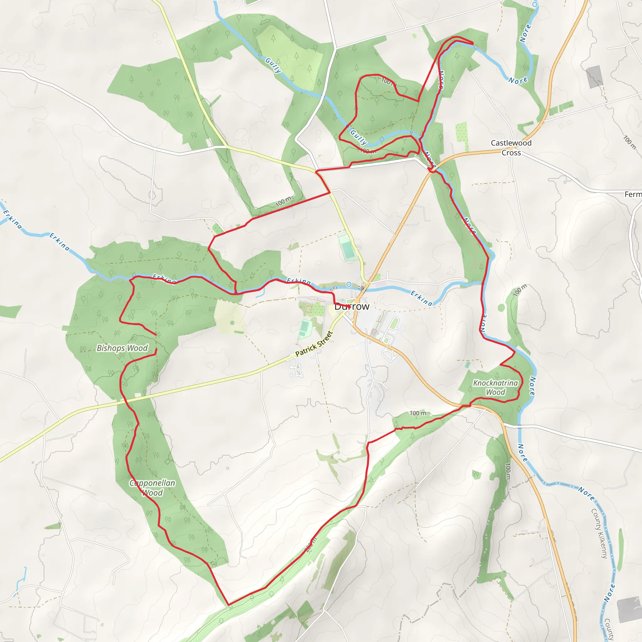 Durrow Leafy Loops - Leafy Loop mobile static map