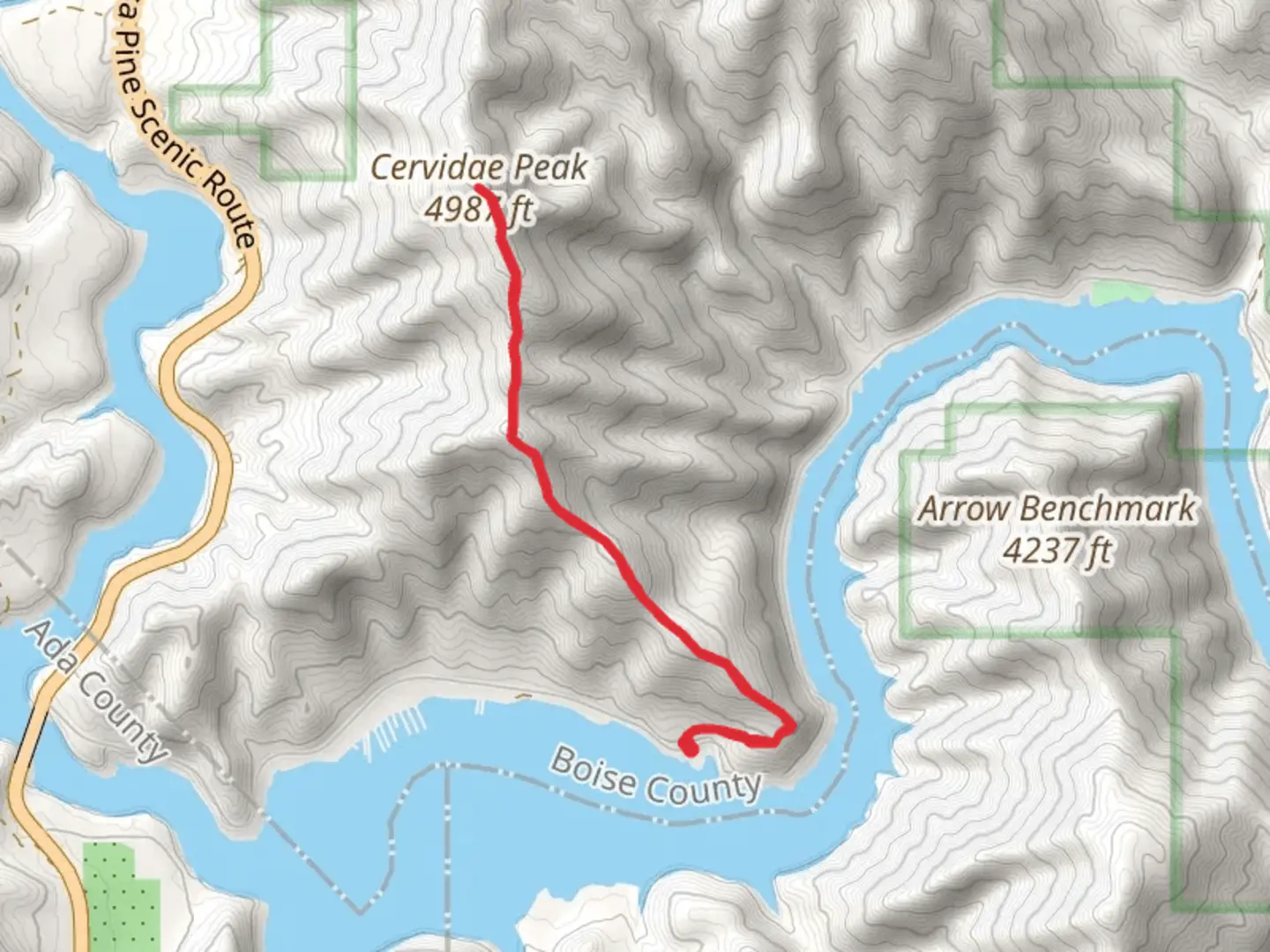 An image depicting the trail Cervidae Peak Out and Back and its surrounding area.