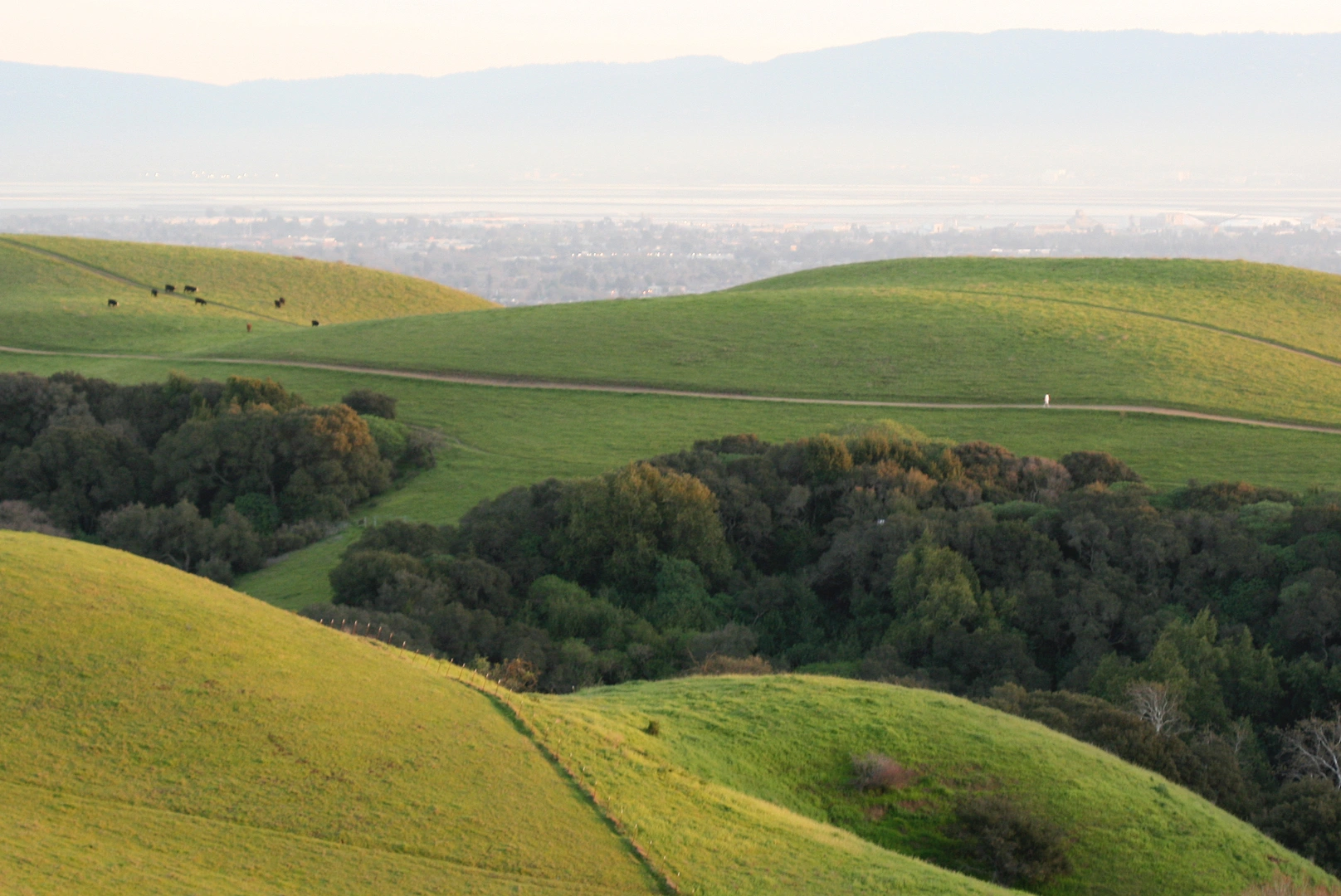 An image depicting the trail Arroyo Flats Group Camp via Garin Woods Trail and Vista Peak Loop Trail and its surrounding area.