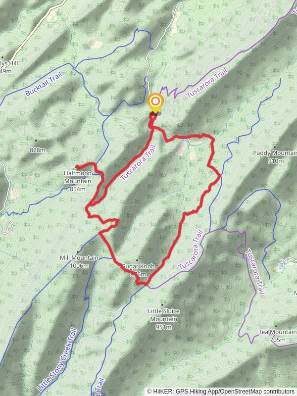 Tuscarora - Pond Run, Halfmoon Lookout and Old Mailpath Loop Trail