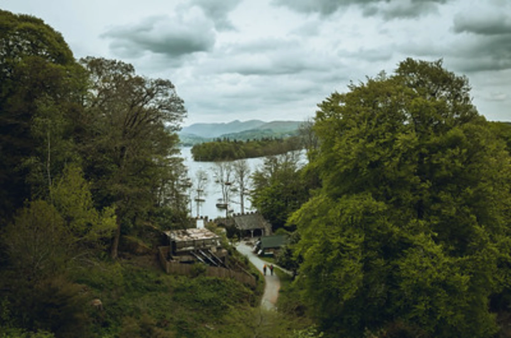 An image depicting the trail Ash Landing Wood, Harwood Hows Wood and The Belsfield Loop and its surrounding area.