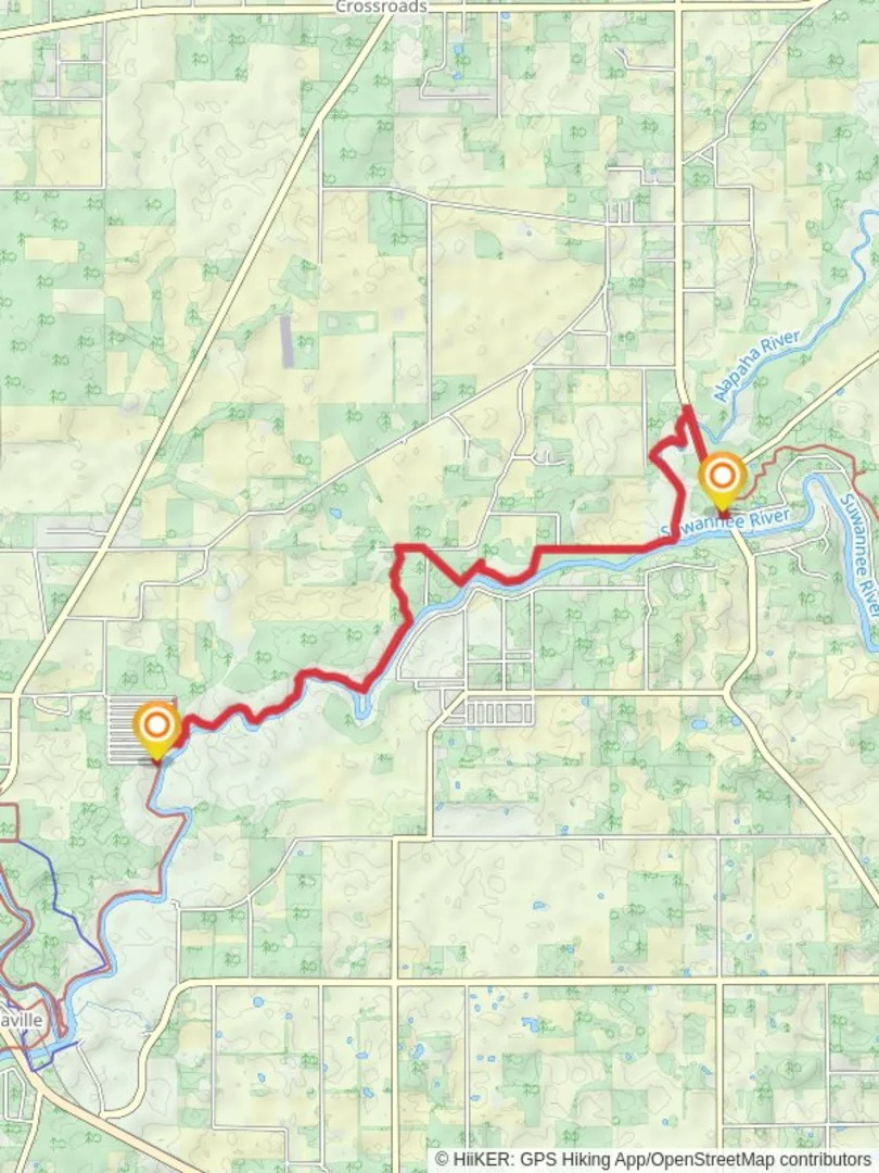 Flatwoods Conservation Flatwoods Bike Trail Ocala Florida Santos