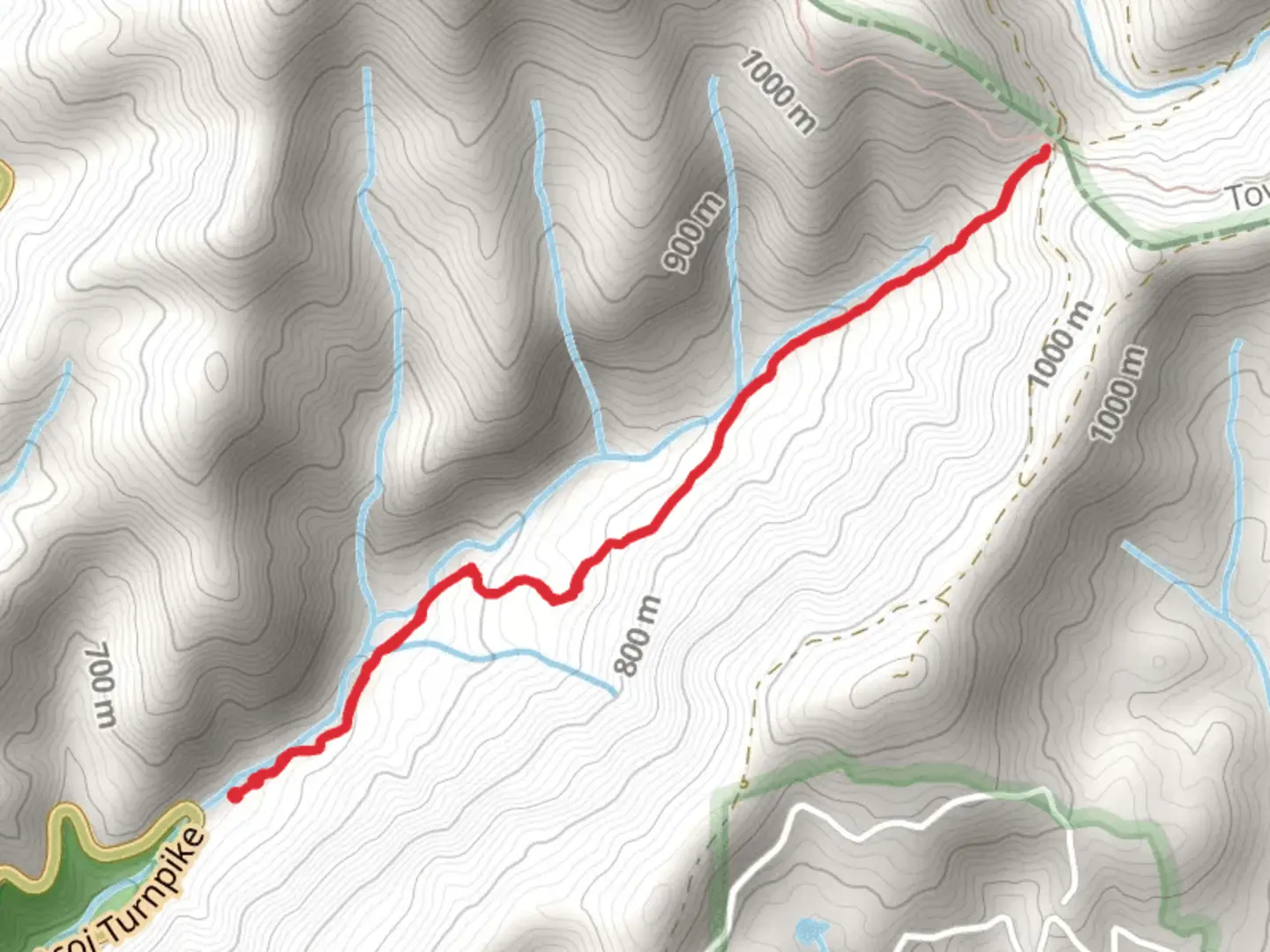 An image depicting the trail Andrews Cove Trail and its surrounding area.