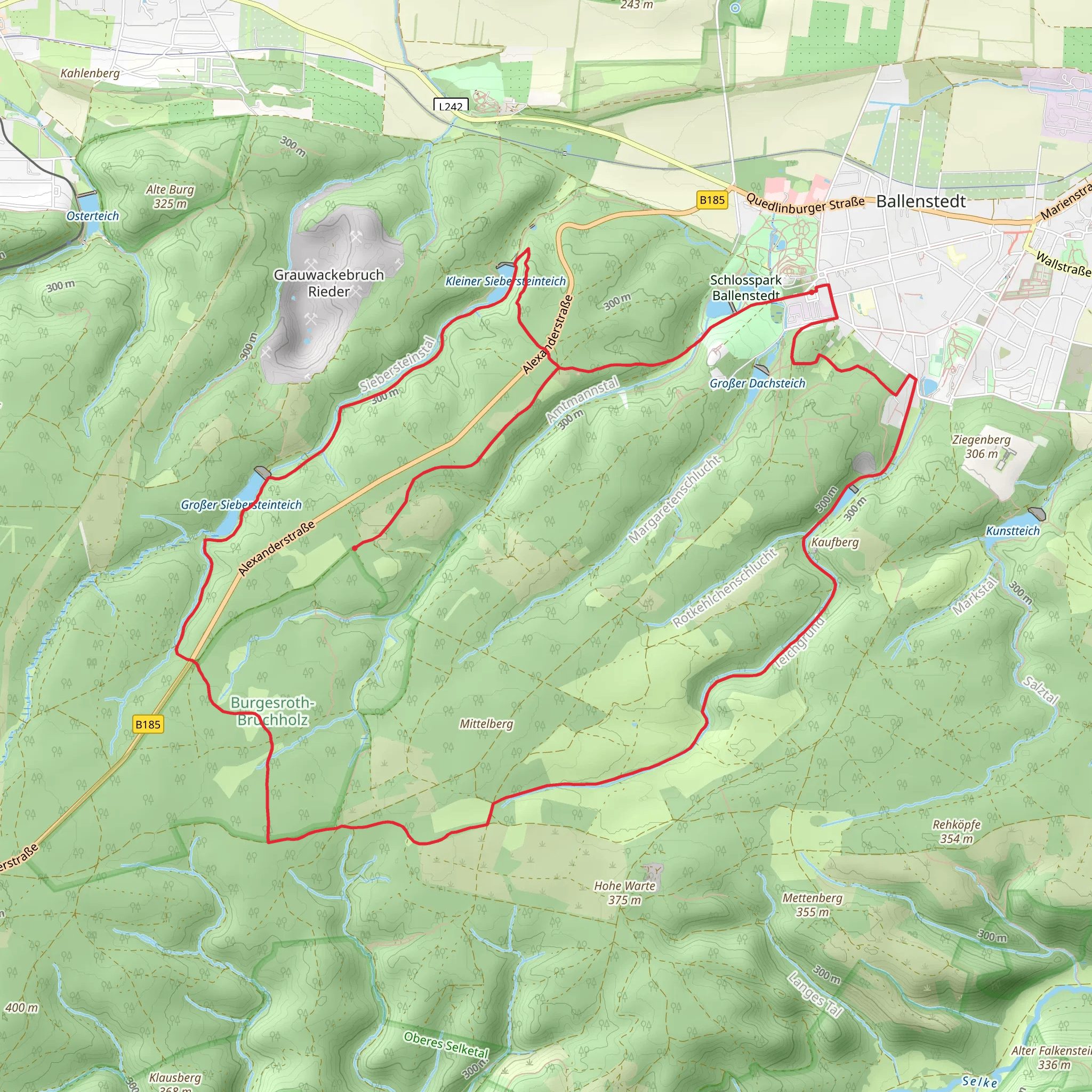 Schlossteich, Buttlars Grab, Großer Siebersteinsteich and Hirschteich Loop - Ballenstedt mobile static map