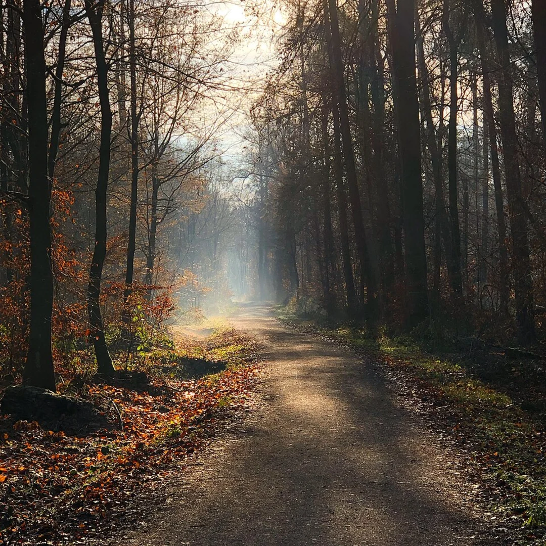 An image depicting the trail Hoher Berg via Schwaebische Alb Nordrand Weg and its surrounding area.